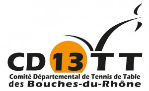 logo CD13_new